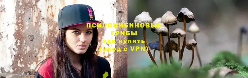 Галлюциногенные грибы Magic Shrooms  наркотики  Байкальск 